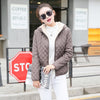 Autumn New Parkas basic jackets Female Women Winter plus velvet lamb hooded