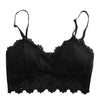 Embroidery Bra Women Wine Red Blue White Black Lace Bralette Plus Size Bra Push Up Wireless Backless Sexy Bras for Women