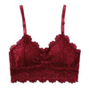 Embroidery Bra Women Wine Red Blue White Black Lace Bralette Plus Size Bra Push Up Wireless Backless Sexy Bras for Women